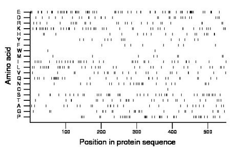 amino acid map