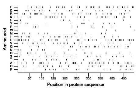 amino acid map