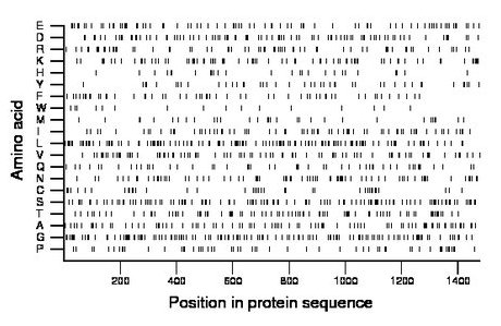 amino acid map