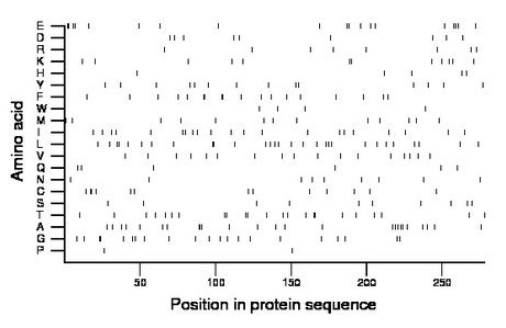 amino acid map