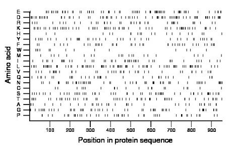 amino acid map