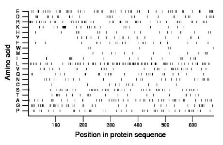 amino acid map