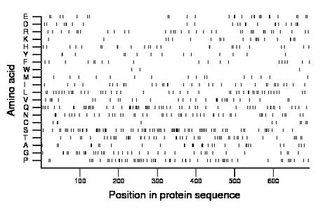 amino acid map