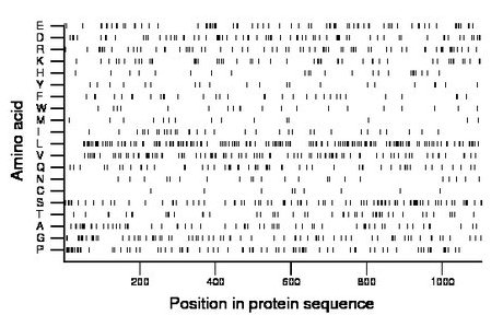 amino acid map