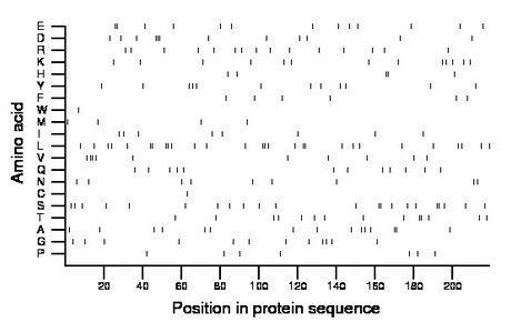 amino acid map