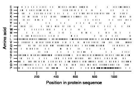 amino acid map