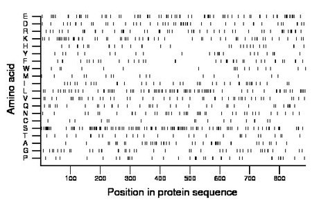 amino acid map