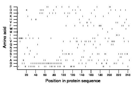 amino acid map