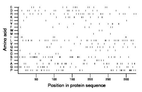 amino acid map