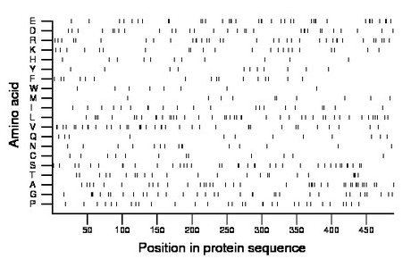 amino acid map