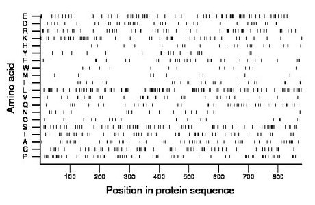 amino acid map