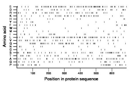 amino acid map