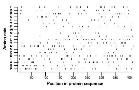 amino acid map