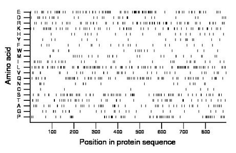 amino acid map