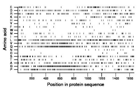 amino acid map