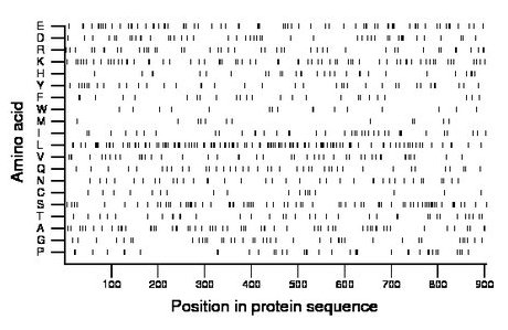 amino acid map