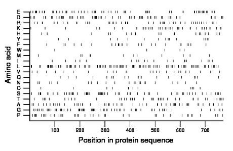 amino acid map