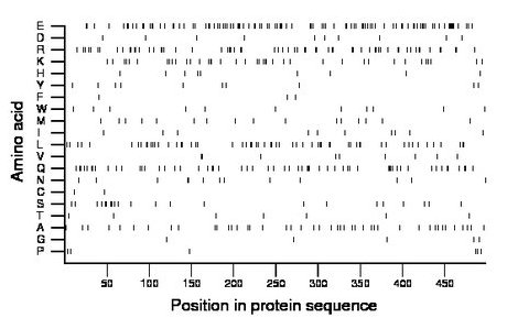 amino acid map