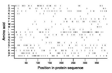 amino acid map