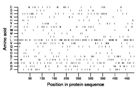 amino acid map