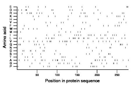 amino acid map