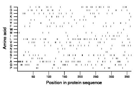 amino acid map