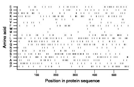 amino acid map