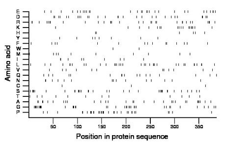 amino acid map