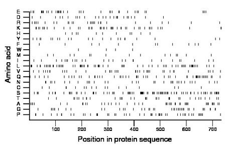 amino acid map