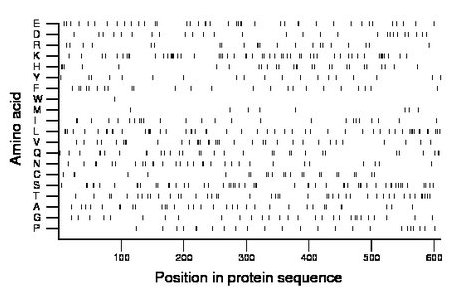 amino acid map