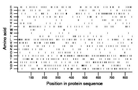 amino acid map