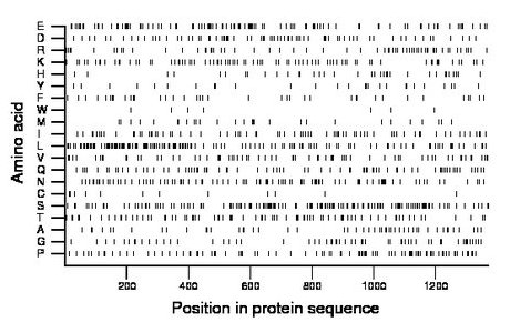 amino acid map