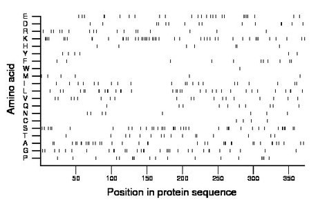 amino acid map