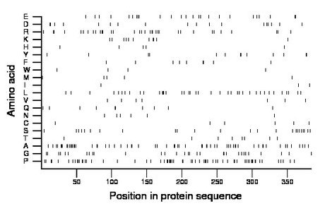 amino acid map