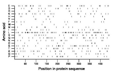 amino acid map