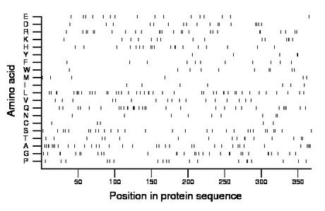 amino acid map