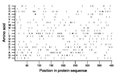 amino acid map