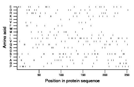 amino acid map