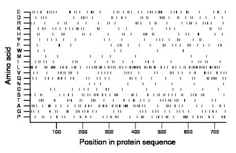 amino acid map