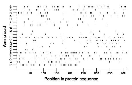 amino acid map