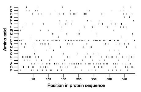 amino acid map