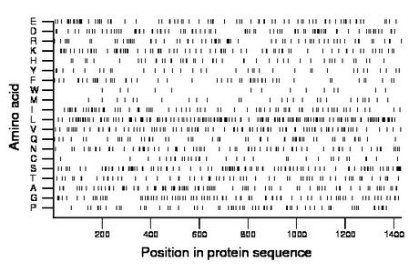 amino acid map