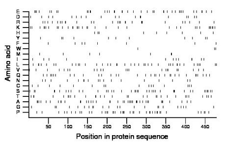 amino acid map