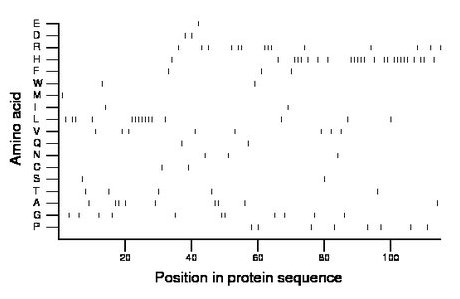 amino acid map