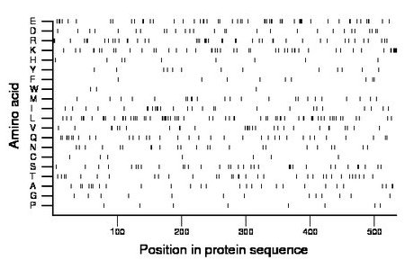 amino acid map