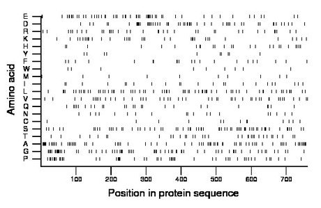 amino acid map