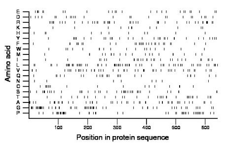 amino acid map