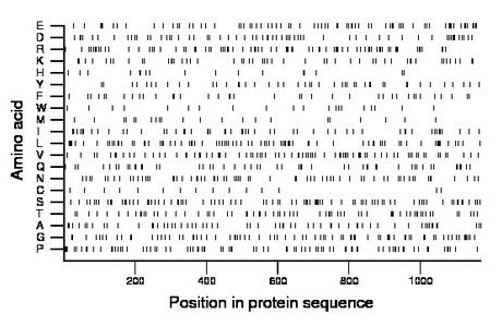 amino acid map