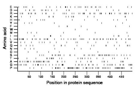 amino acid map