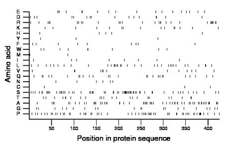 amino acid map